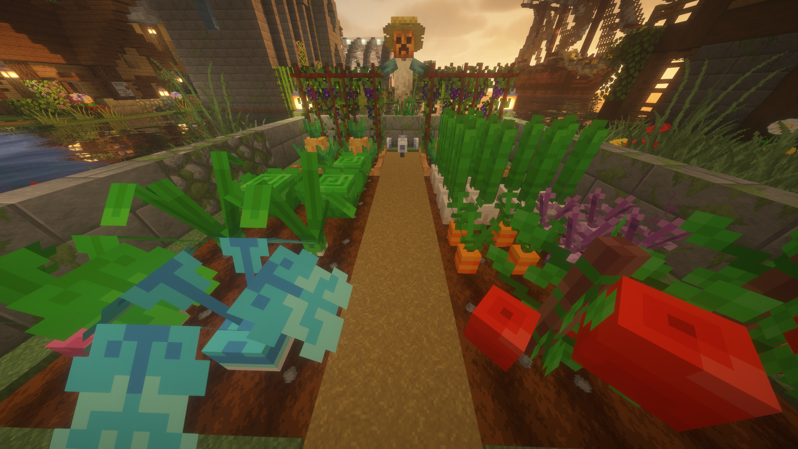 New Crops Update